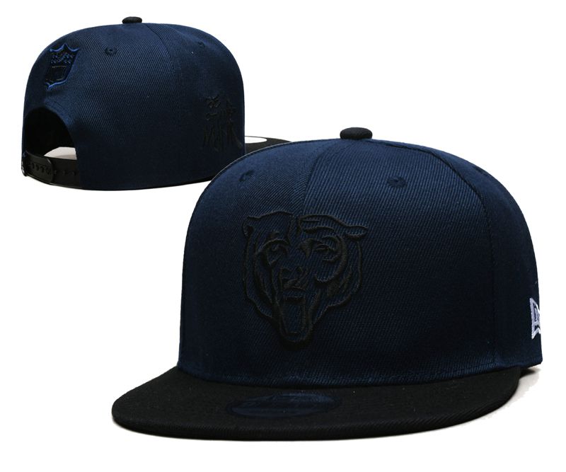 2025 NFL Chicago Bears Hat YS20253101